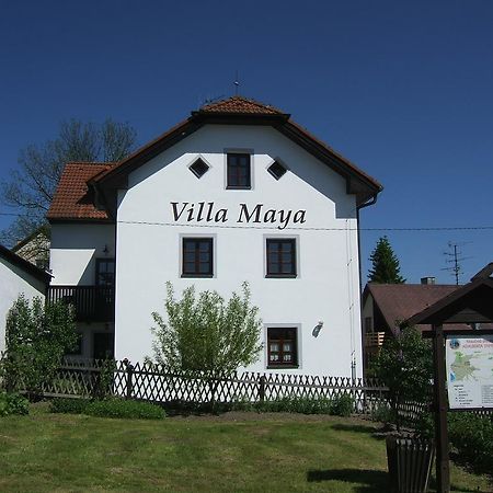 Horní Planá Villa Maya מראה חיצוני תמונה