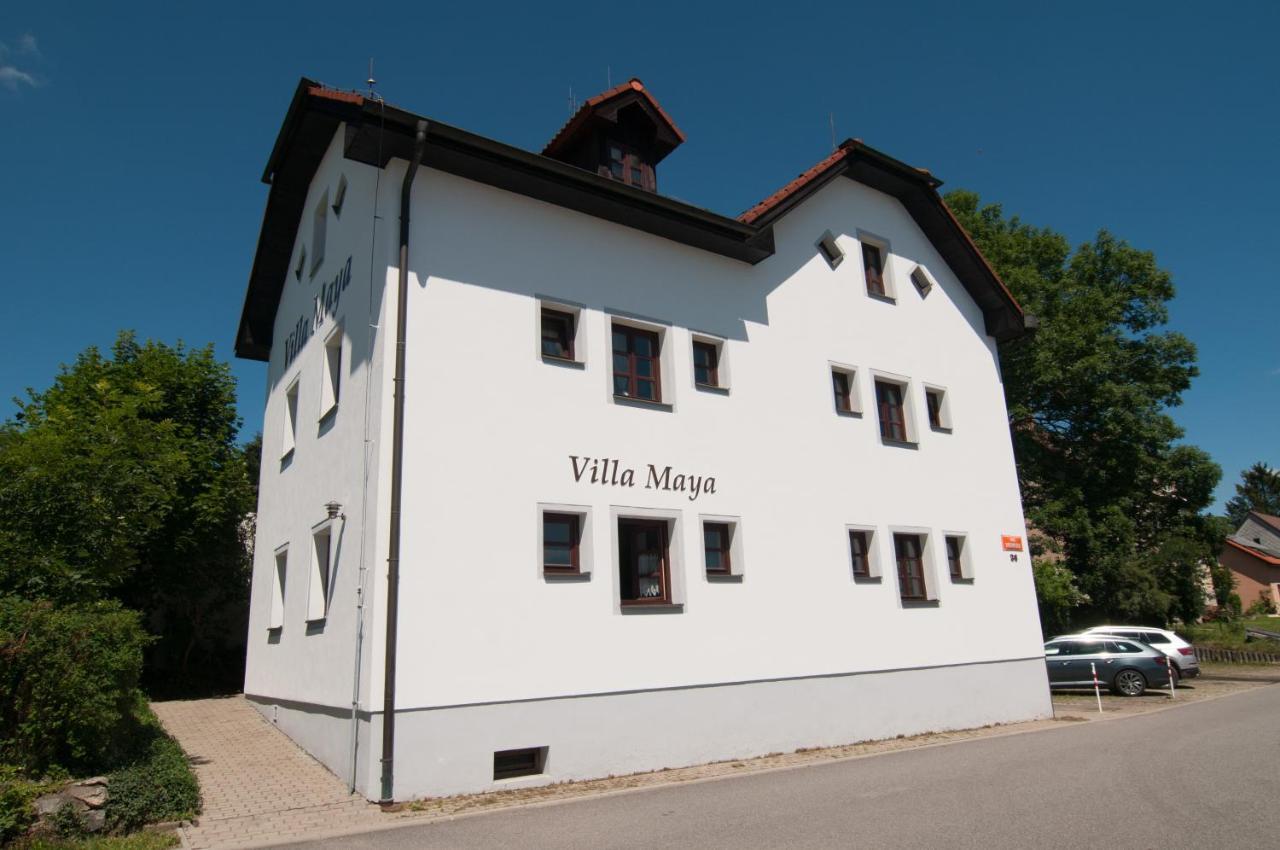 Horní Planá Villa Maya מראה חיצוני תמונה