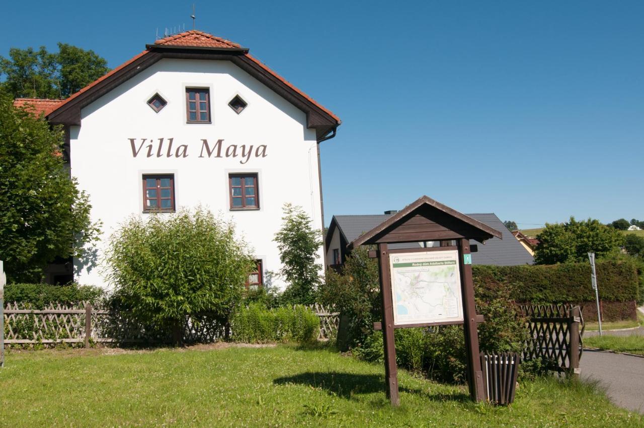 Horní Planá Villa Maya מראה חיצוני תמונה